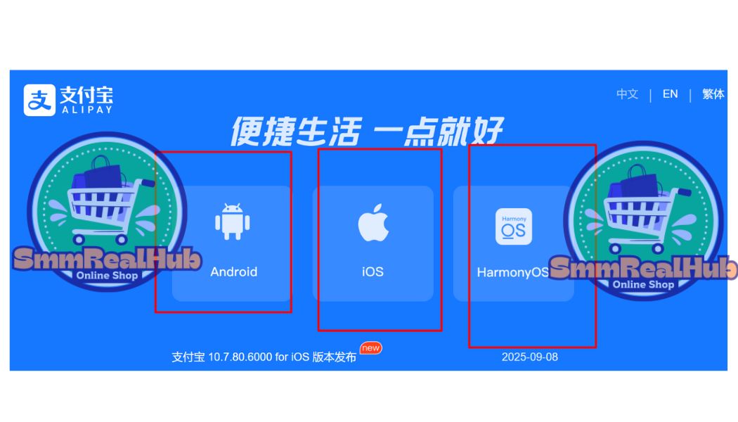 Are Verified Alipay Accounts Safe to Use